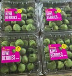 KIWI BERRIES X 3 PUN