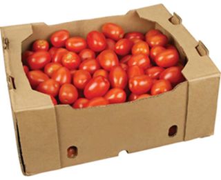ROMA TOMATOES (BOX)