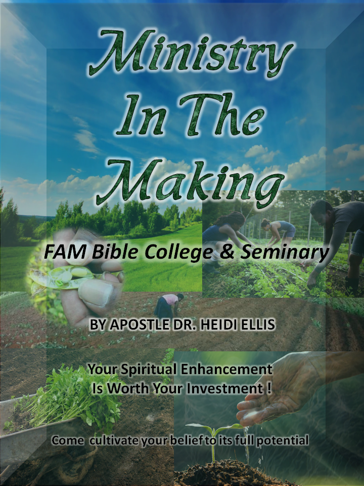 Ministry in the Making