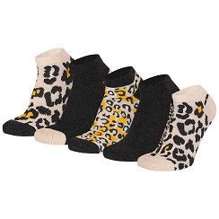Sneaker Leo-Motiv - beige/anthra - 5er Pack