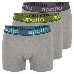Boxershorts - grau mit farbigem Bund - 3er Pack