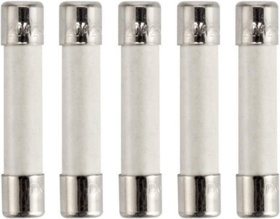 WB27X10388 20 Amp Microwave Ceramic Slow Blow Fuse