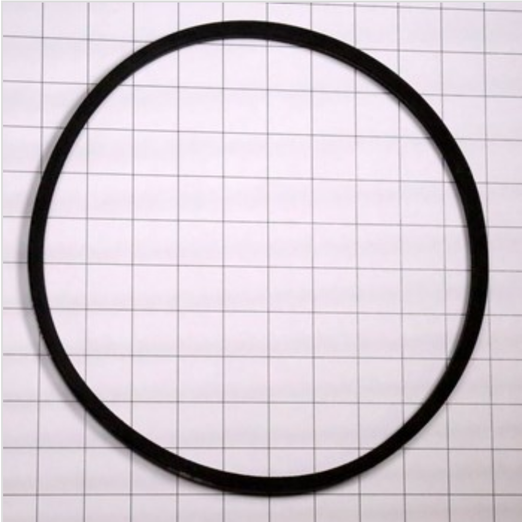 131686100 Belt