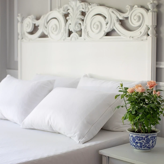 St. Geneve Complete Pillow Protector