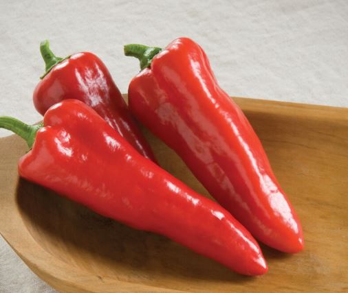 Peppers, &#39;Carmen&#39;,  3&quot; pot