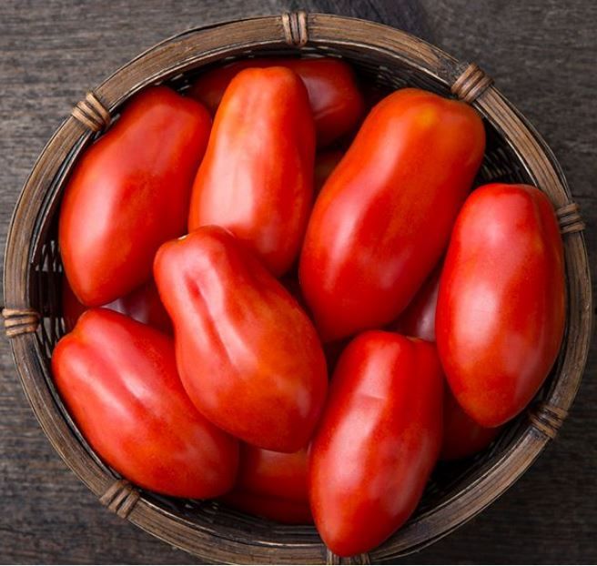 Tomato, &#39;San Marzano&#39; paste