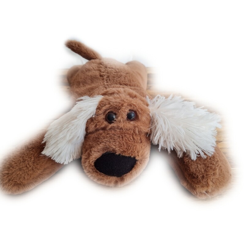 1.2kg Dog