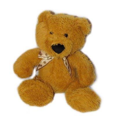 1kg Teddy Bear