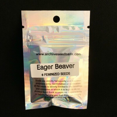 Archive- Eager Beaver