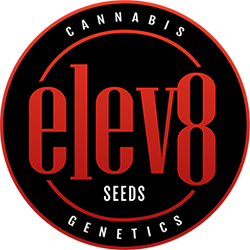 Elev8