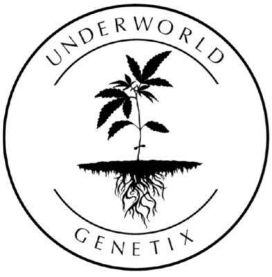 Underworld