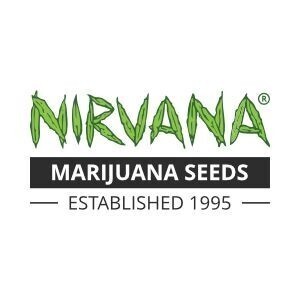 Nirvana
