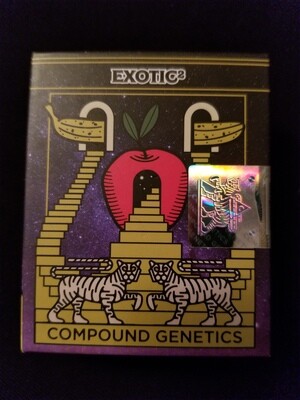 Exotic 2