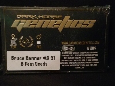 Bruce Banner #3 S1