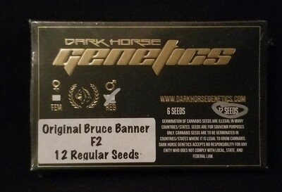 Original Original Bruce Banner F2