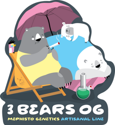 3 Bears OG