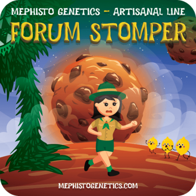 Forum Stomper