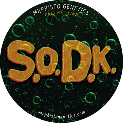 S.O.D.K.