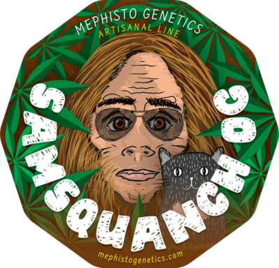 Samsquanch OG
