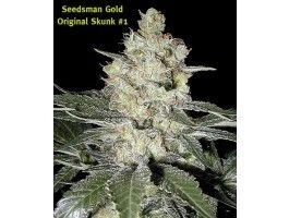 Original Skunk #1