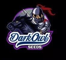 Dark Owl Seeds