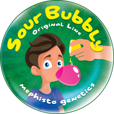 Sour Bubbly