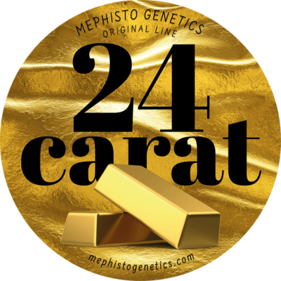 24 Carat