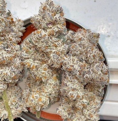Pure Michigan F2