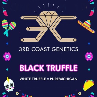 Black Truffle
