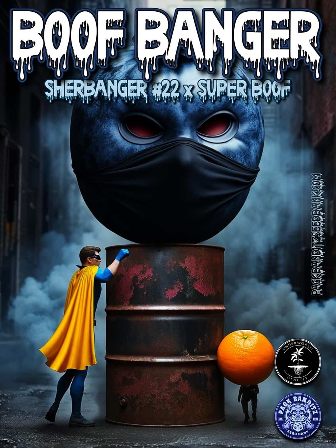 ** Boof Banger ** Sherbanger #22 x Super Boof