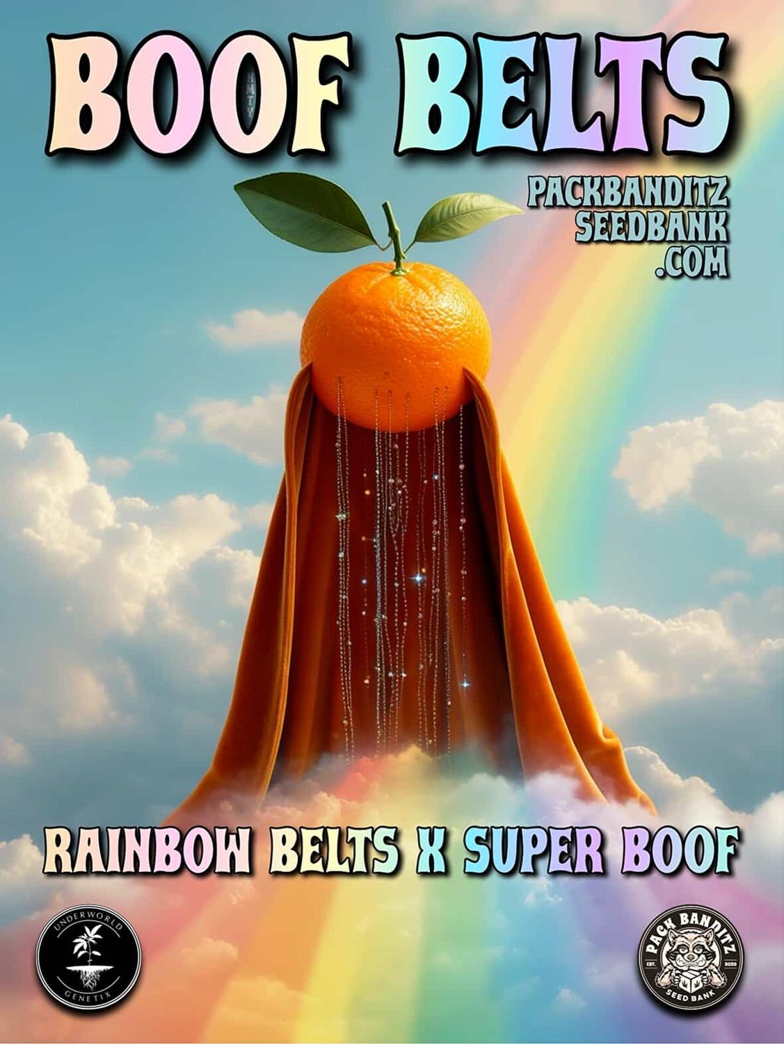 ** Boof Belts ** Rainbow Belts 2.0 x Super Boof