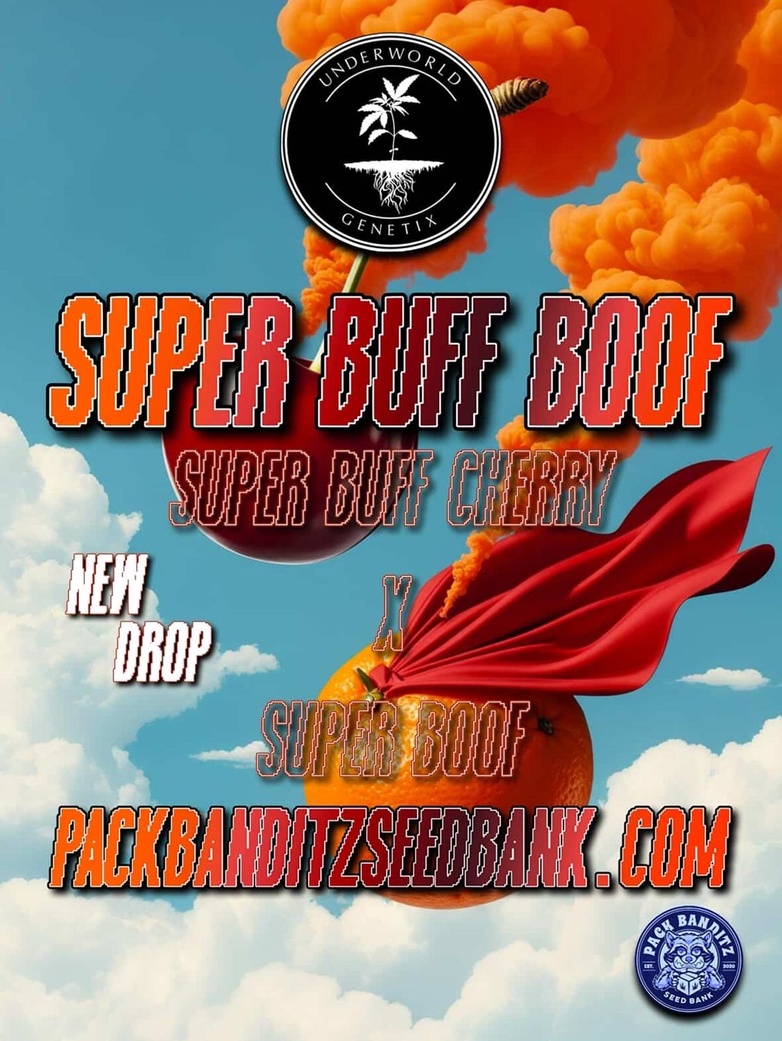 ** Super Buff Boof (SB BX1) ** Super Buff Cherry x Super Boof