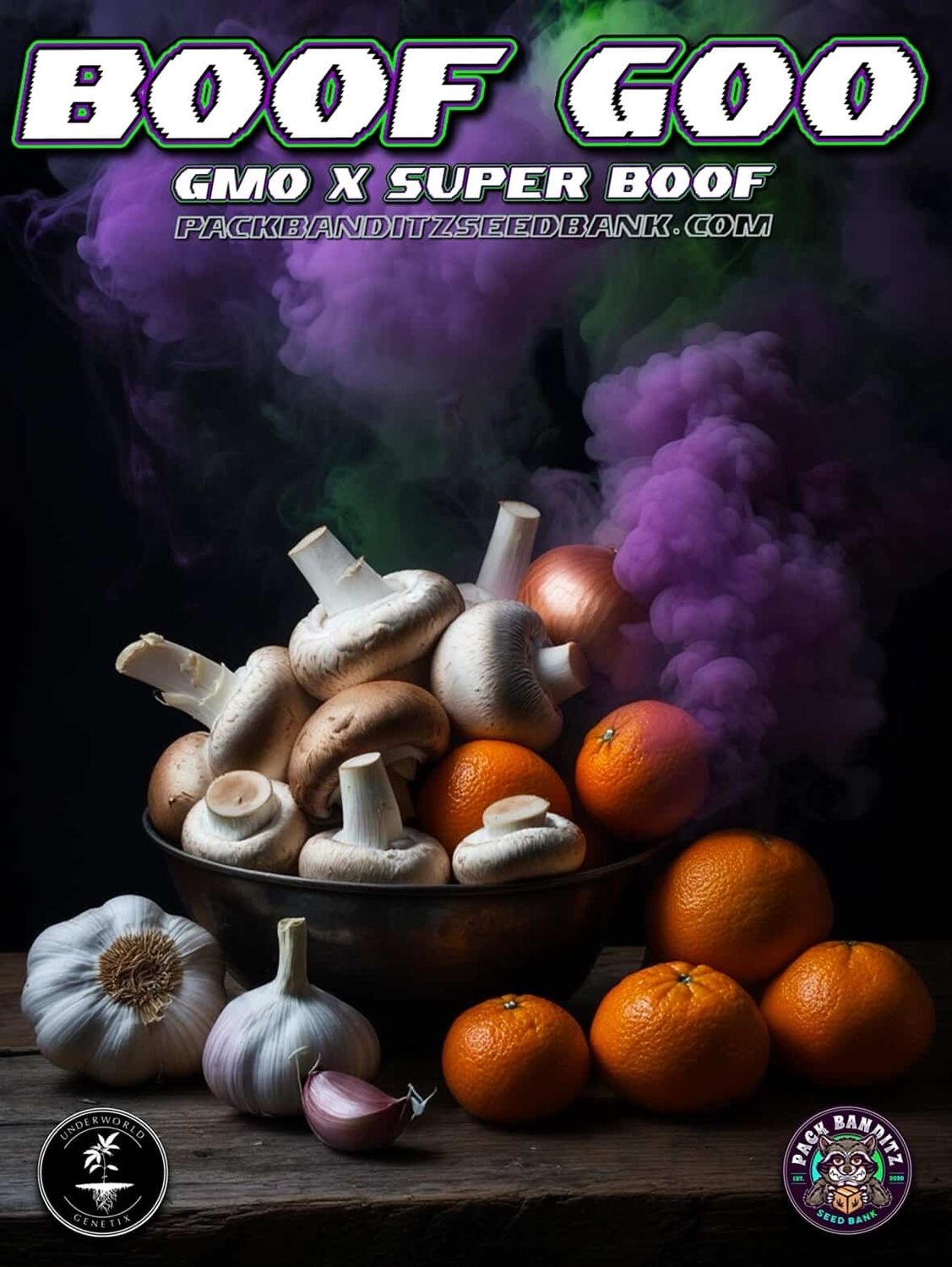 ** Boof Goo #1 ** GMO x Super Boof
