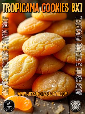 ** Tropicana Cookie BX1 ** Tropicana Cookies x Super Boof