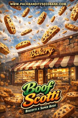 Boof-Scotti