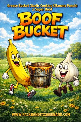 Boof Bucket