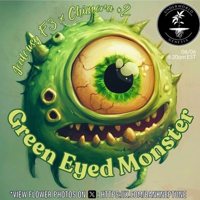 Green Eyed Monster - Blue Dream x Chimera #2