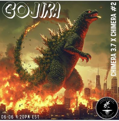 Gojira (Chimera 3.7 x Chimera #2)