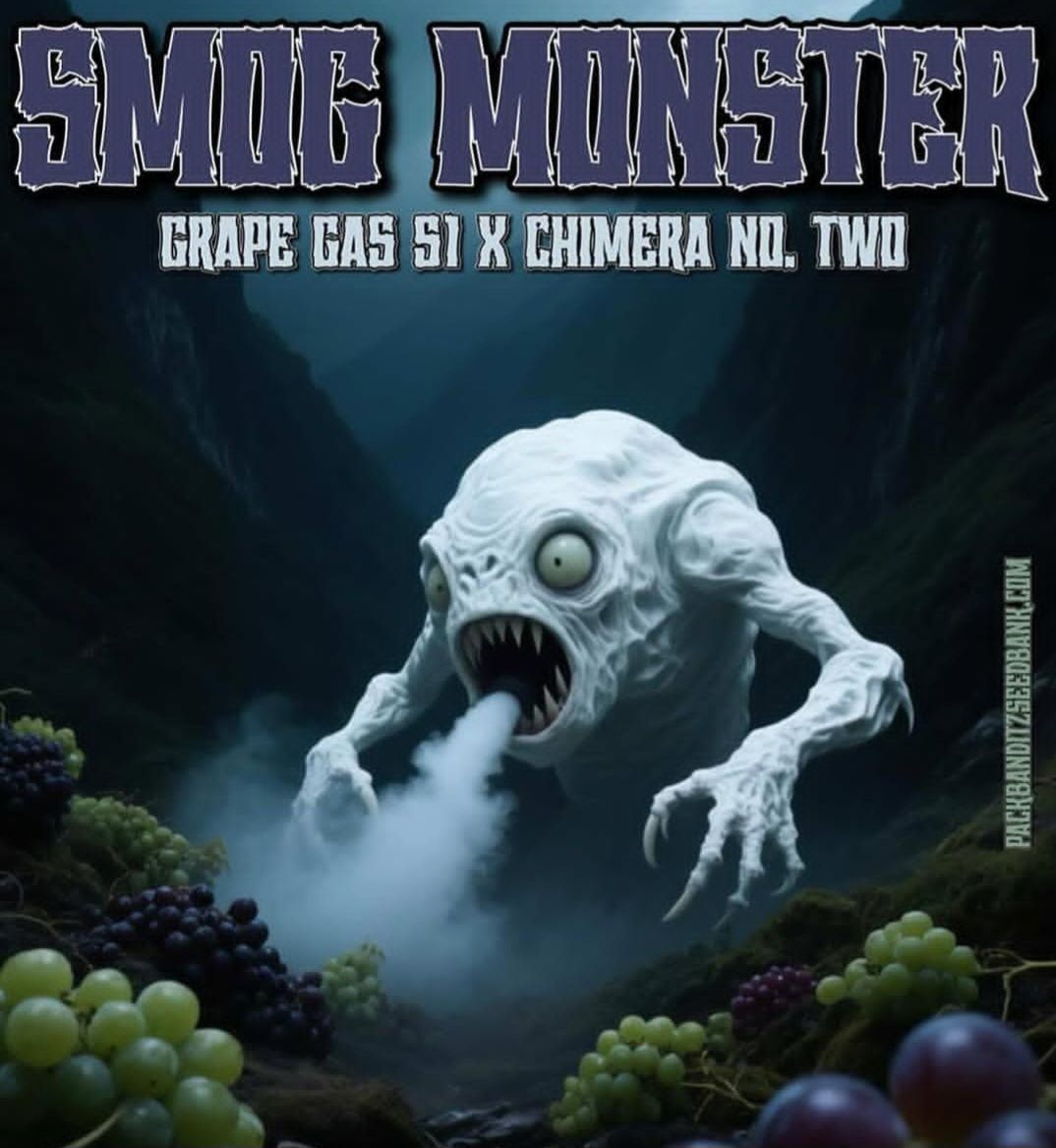 ** SMOG Monster ** (Grape Gas S1 x Chimera #2)