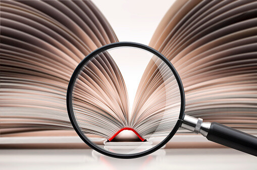 The Essay Writing Process: A Step-by-Step Guide - 2022