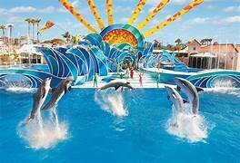 One day tour to sea world San Diego