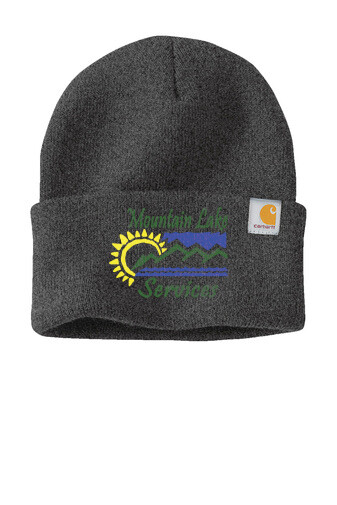 Carhartt® Watch Cap 2.0