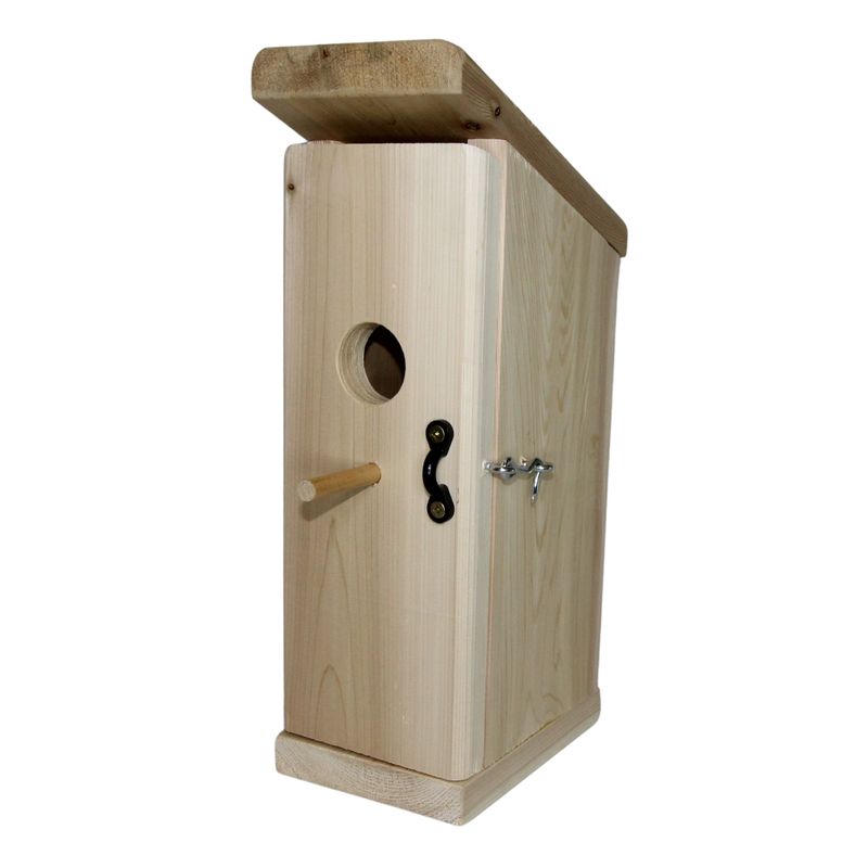 Bird House