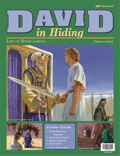 AB 14133 -  Abeka:  David In Hiding Flash-a-Cards
