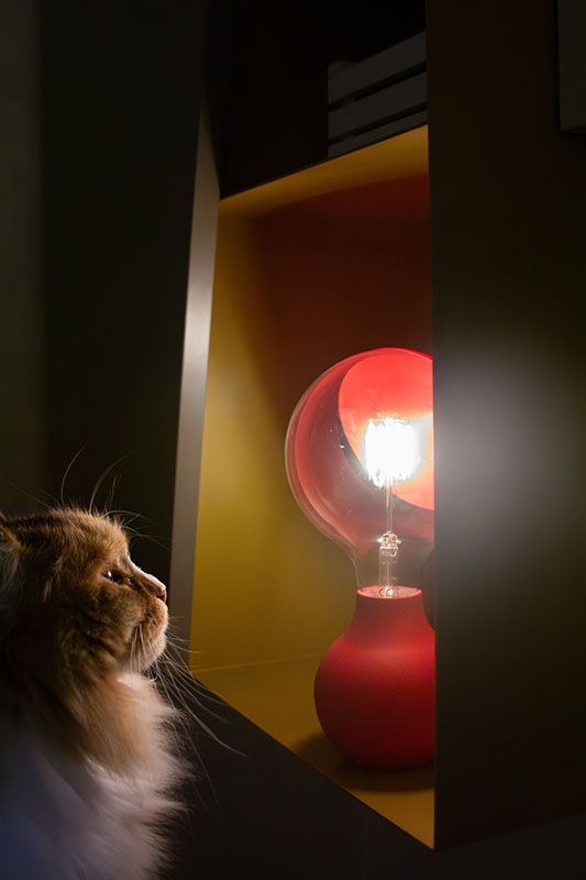 LAMPADA LED PORTATILE A BATTERIA DESIGN 6 COLORI: BIANCO, NERO, TIFFANY, GIALLO, VERDE SALVIA, ROSSO INTENSO - CON 3 INTENSITA' DI ILLUMINAZIONE