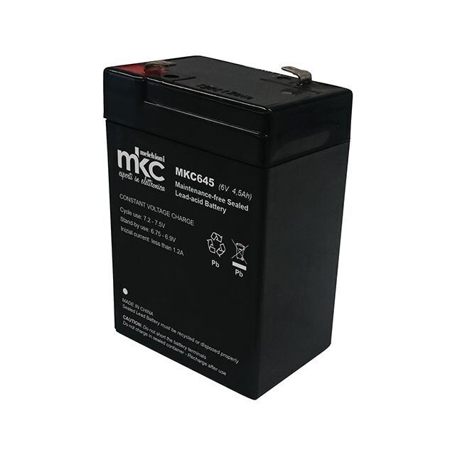 BATTERIA AL PIOMBO 6V 4,5Ah TAMPONE Accumulatore ricaricabile terminale faston 4,8mm PER LAMPADE DI EMERGENZA