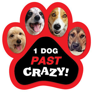 One Dog Past Crazy Magnet