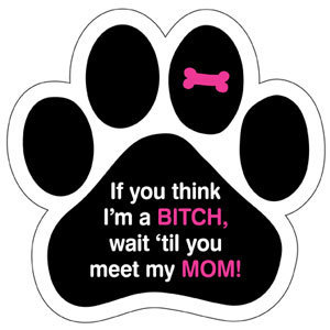 Wait &#39;til you meet my Mom Magnet