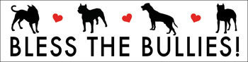 Bless the Bullies Magnet