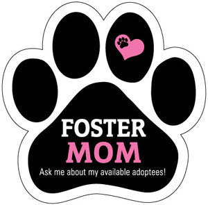 Foster Mom Magnet